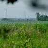 Tour 5: Krumminer Wieck